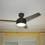 Romantico 2 Daimús